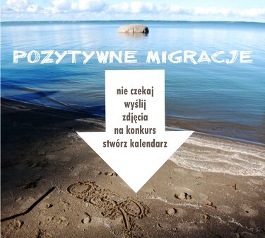 pozytywne migracje