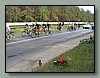 95.JPG
