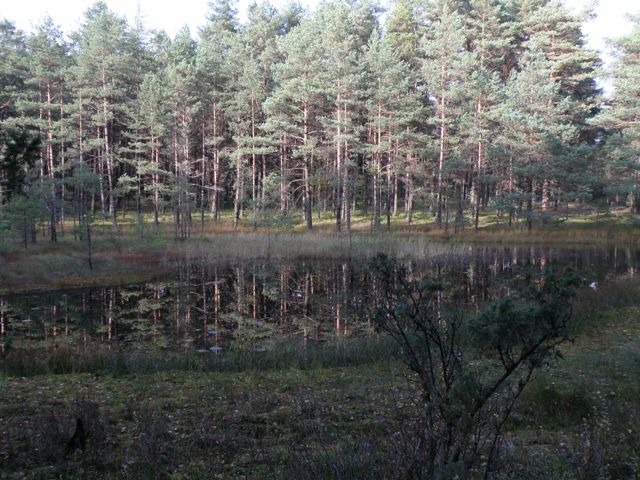 PA180091.jpg