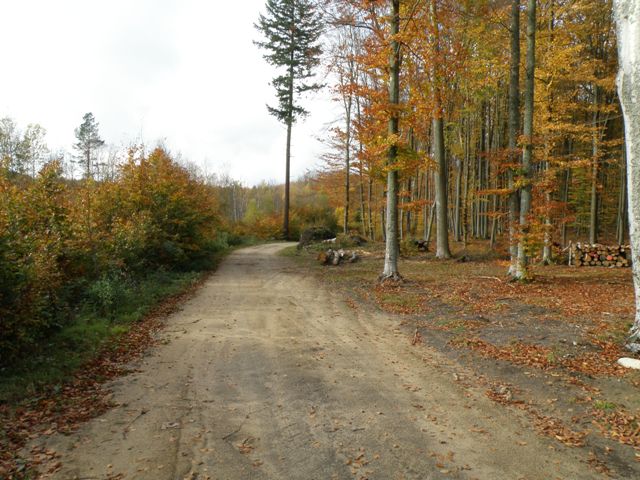 PA180086.jpg