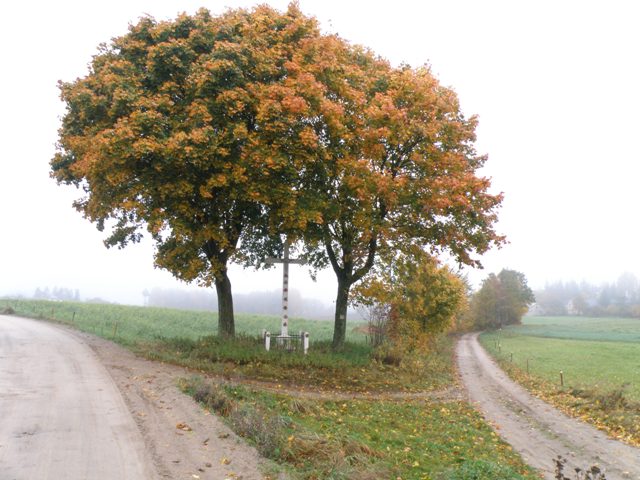 PA180044.jpg