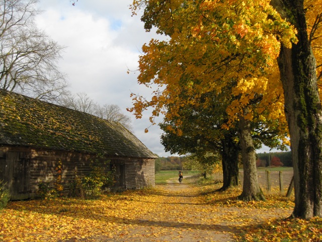 były boskie