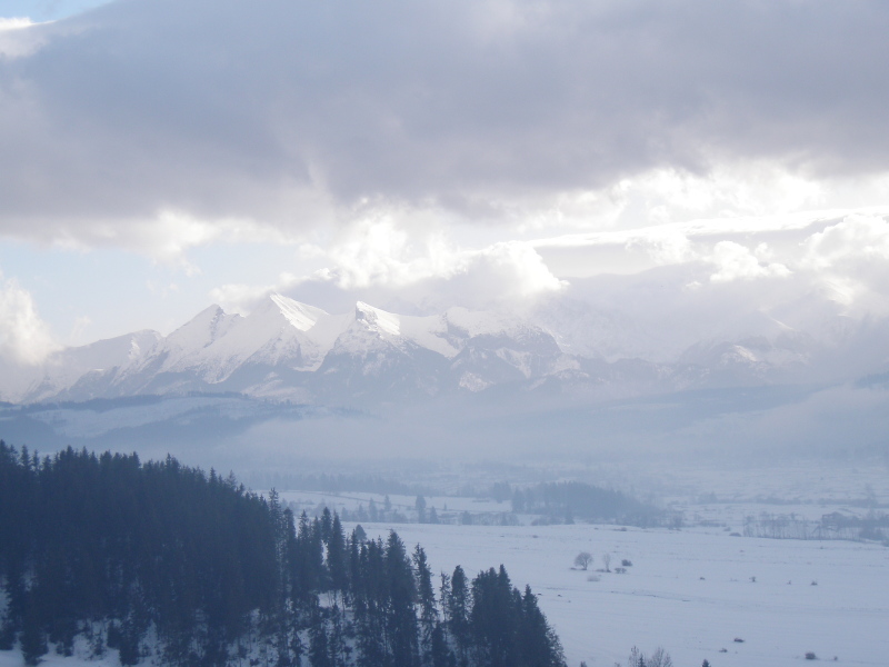 ol20090123_103bis.jpg