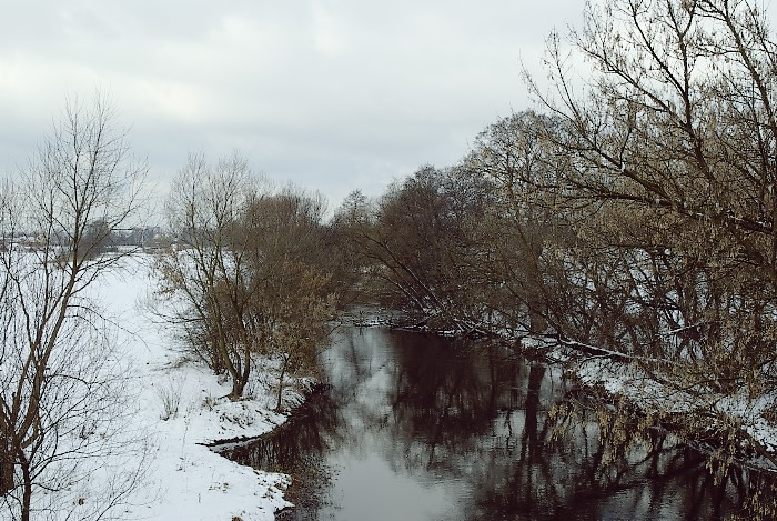 IMGP054231.jpg
