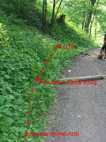 Tak wyglądał pierwszy OGR'odowy zjazd w wykonaniu m(L)odego