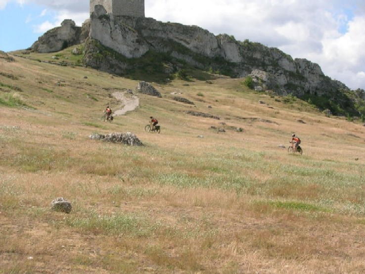 dzielne OGR-y