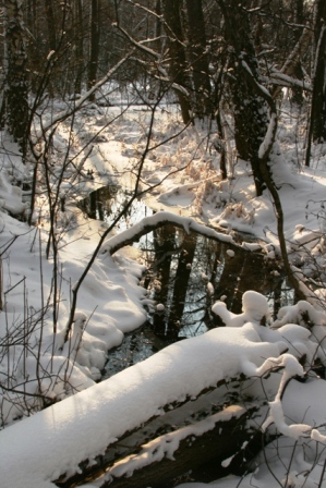 IMG_8157.JPG