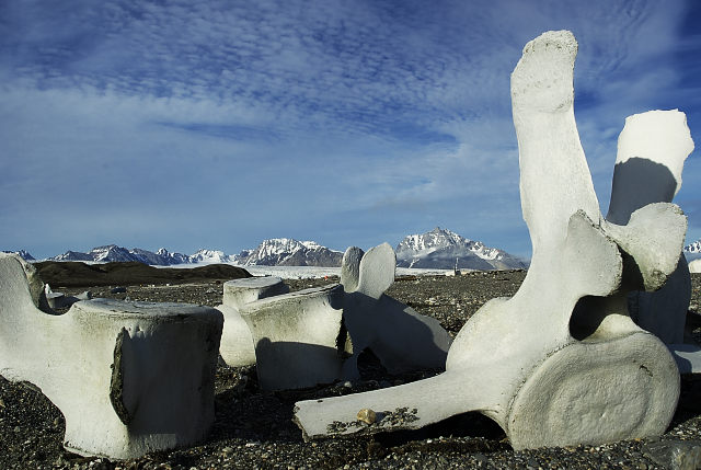 svalbard_100714203455IMGP8711.jpg