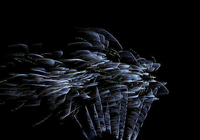 mIMGP6701.jpg