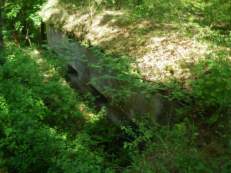fort nr 7