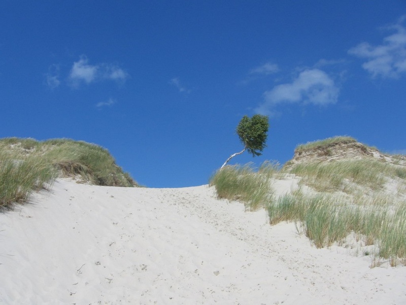 a za tą wydmą piękna plaża...