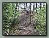 DSCN0988.jpg