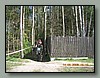 DSCN1018.JPG