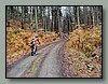 DSC06858.JPG