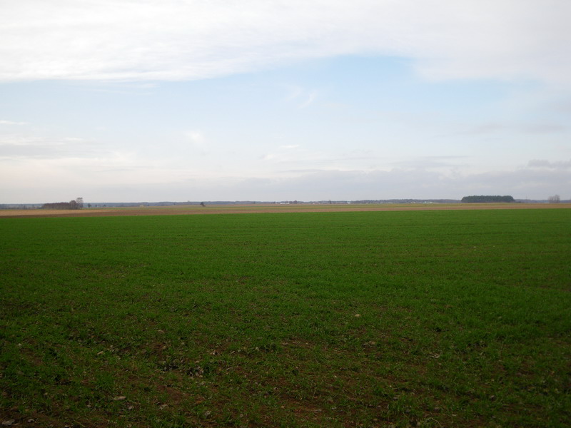 Polska