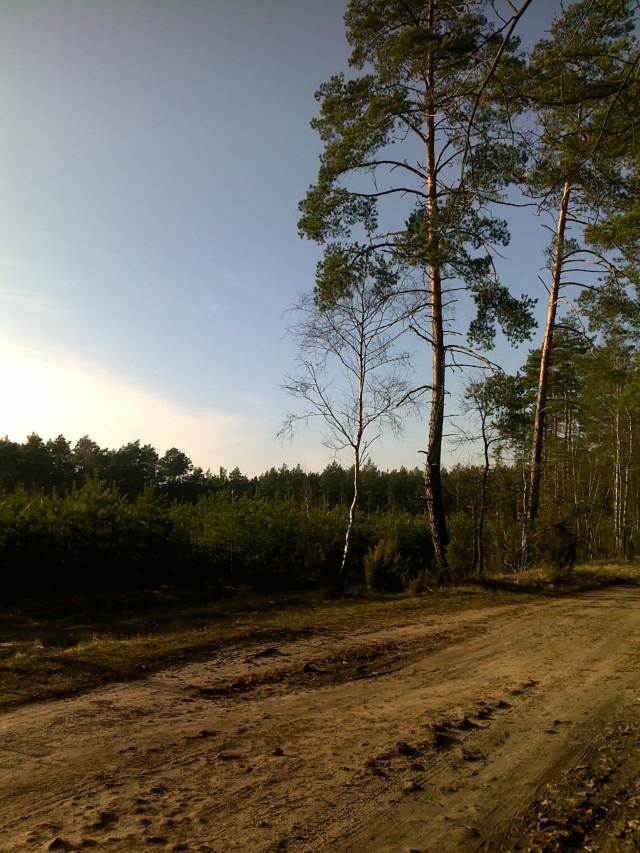 28112009224a.jpg